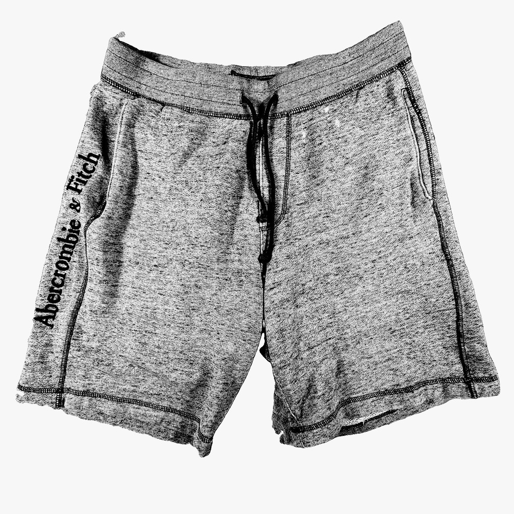 Abercrombie & Fitch Mens L Gray Fleece Sweat Shorts Y2K Embroidered Spell Out